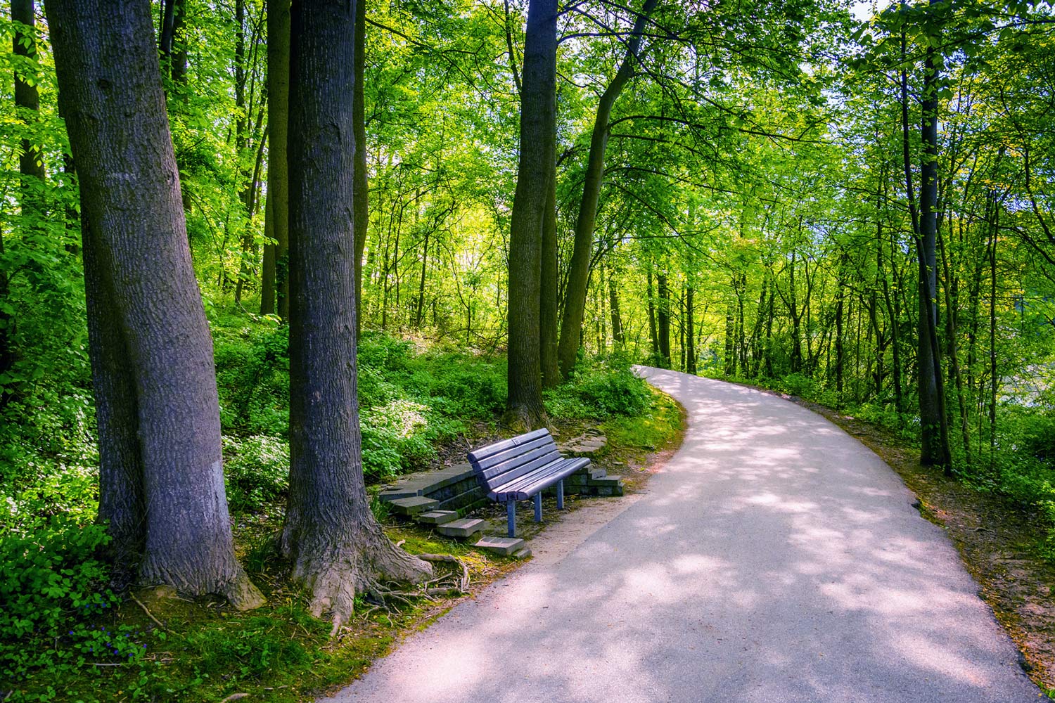 Maryland Estate Planning Attorney